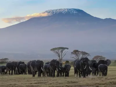 Best-Time-to-Visit-Tanzania Tanzania