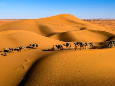 Travel