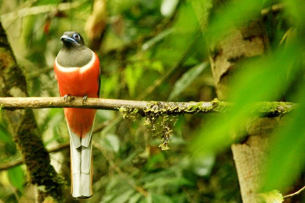 kumana-national-park-003